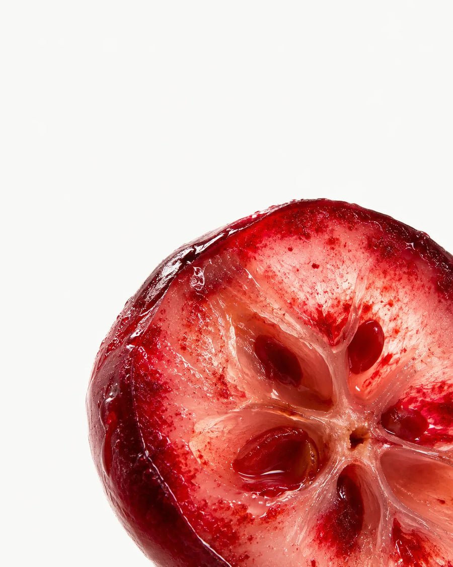 Cranberry Extract
