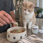 Marcus T., Cat Dad